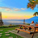 Menikmati Sensasi Ngopi di Kopi Bandungan Umbul Sidomukti! image