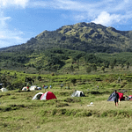 Gunung Ungaran: Pesona Alam, Jalur Pendakian, dan Tips Mendaki untuk Pemula image