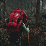 Jangan asal-asalan! Ini dia cara untuk merawat carrier agar tetap awet image