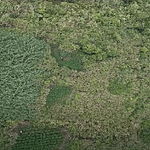 Viral! Larangan Drone di Gunung Semeru Terkait Temuan Ladang Ganja image